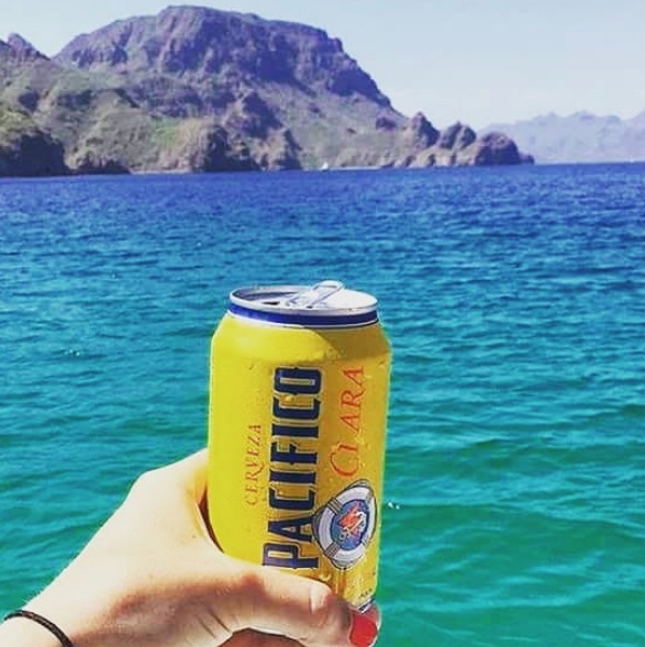 villa del palmar loreto beer creditvilladelpalmarl