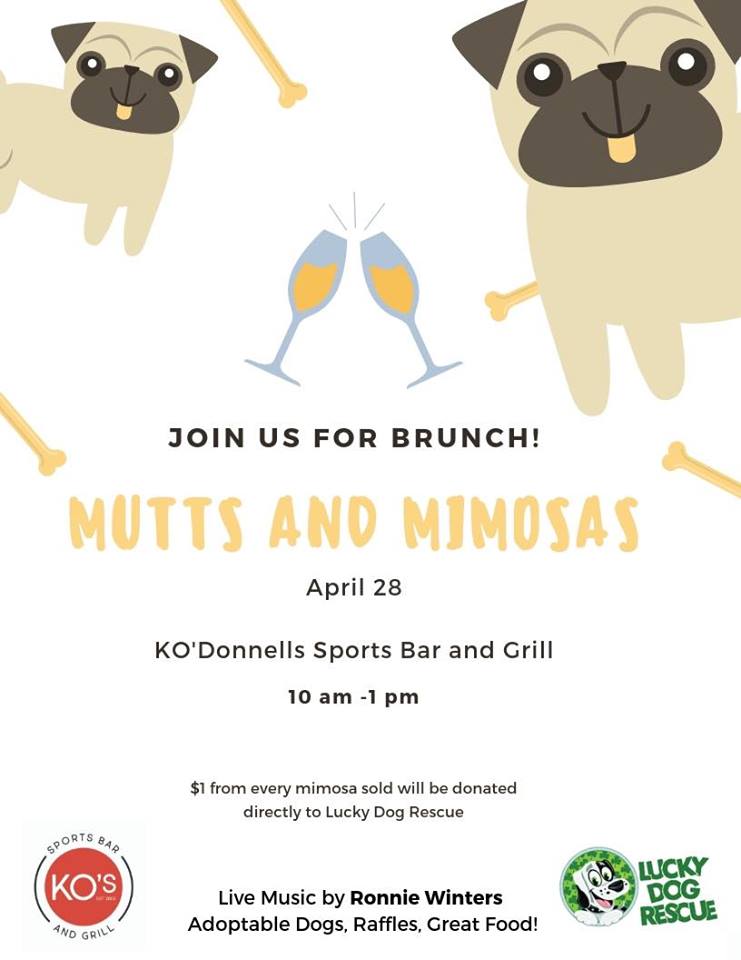 Mutt and Mimosas.jpg