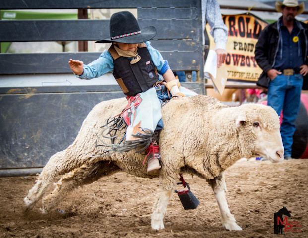 Mutton_Bustin__at_Cave_Creek_Wild_West_Days_-_photo_credit_Mike_Pintar_0_175a0205-5056-b3a8-497f50c9bfcc800f0_4ab8acb6-5056-b3a8-49090d51517750a7.jpg