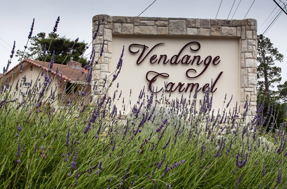 carmel vendage