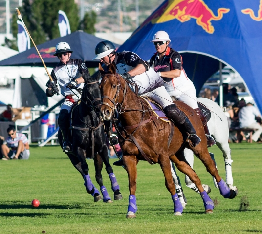 Polo_Field_1.jpg