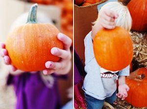 Pumpkin-Patch