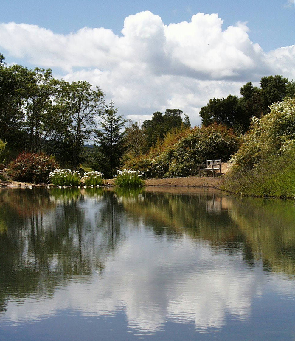 Quarryhill_Pond Reflecting Clouds.jpg