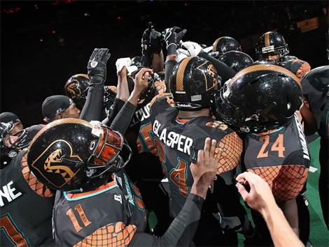 Rattlers4