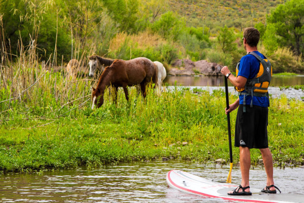 SUP-Gallery-600x400.jpg