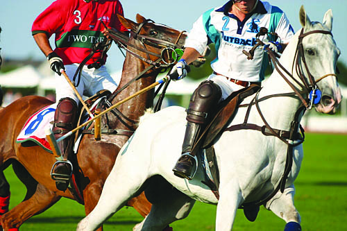 Scottsdale-Polo-Championship