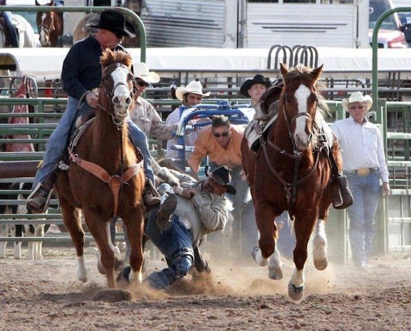 Suzanne-Sylvester-Rodeo-2-_a7baf63f-5056-b3a8-49fc0888c083e450.jpg