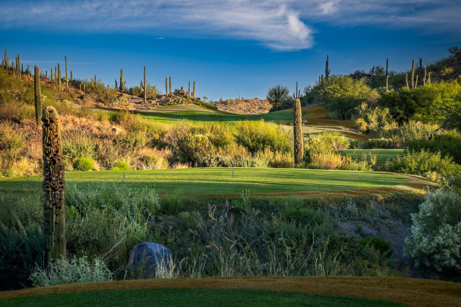 The Club at Starr Pass.jpg