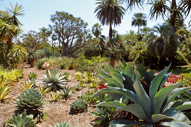 The_Huntington_Botanical_Gardens_001.JPG