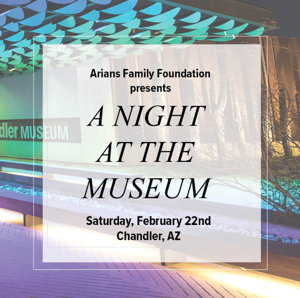 VCC - Arians Family Foundation A Night at the Museum.png