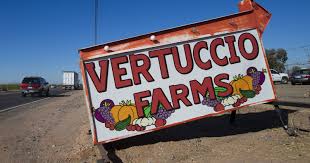 Vertuccio.jpg