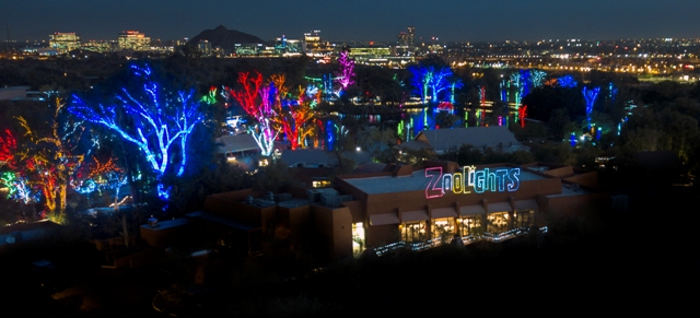 ZooLights.JPG