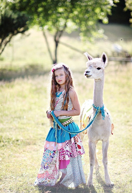alpaca 1