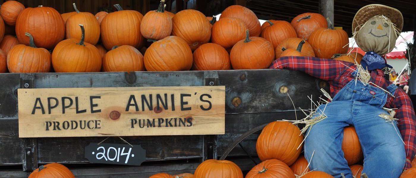 Pumpkin Patches in Phoenix 2016 Page 2