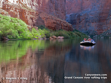 2010_AZ-4917