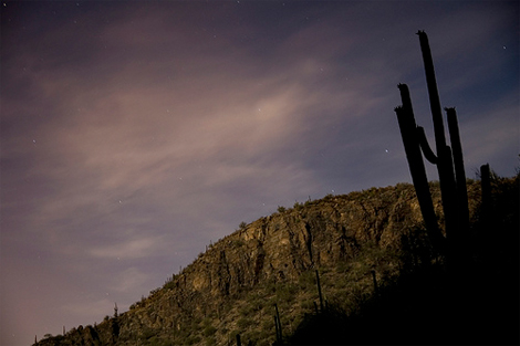 sabino-canyon-moonlight-tour