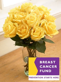 Breast-Cancer-Fund_jpg