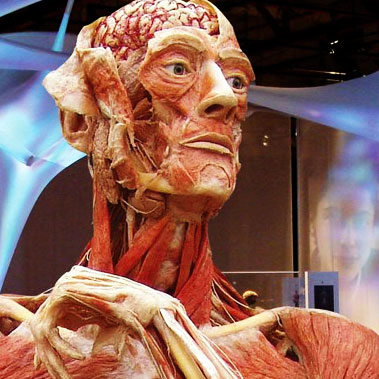 body_worlds