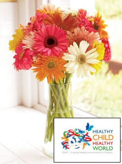 gerbera-daisies-Healthy-Child-Healthy-World_jpg