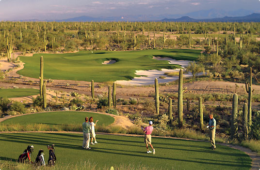 Ritz DoveMountain 00060 MainTall