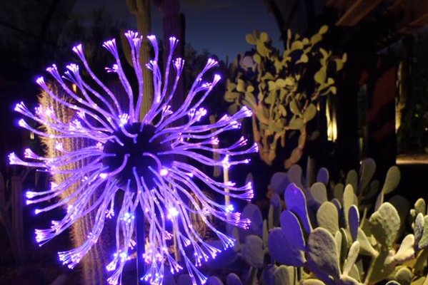 Top Ten Things To Do This Weekend In Phoenix Bruce Munro At Desert Botanical Garden Via Dbgweet
