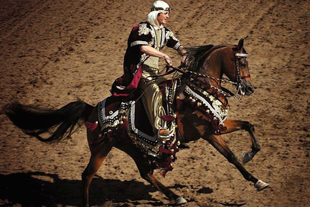 arabian-horse-show_696f572d-5056-b3a8-49ae0b45efa9961f.jpg