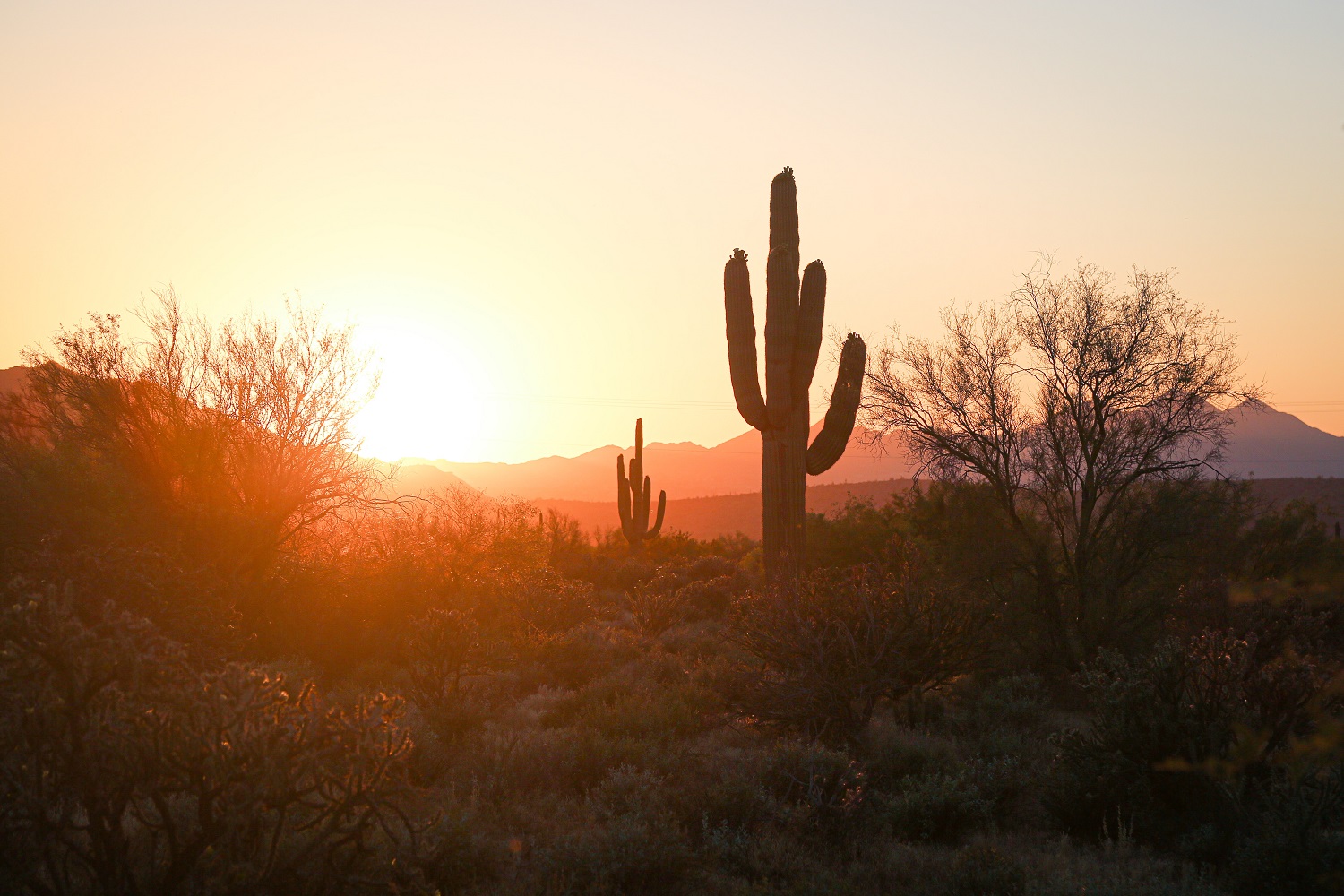 arizona-desert.jpg