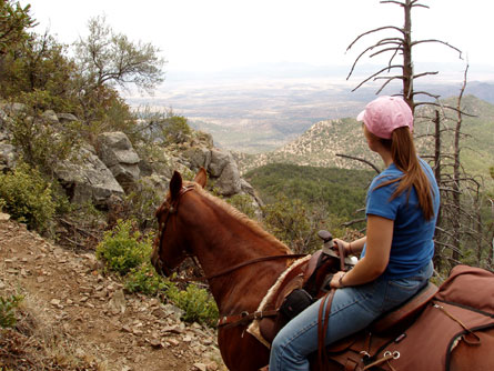 arizona horseback experience