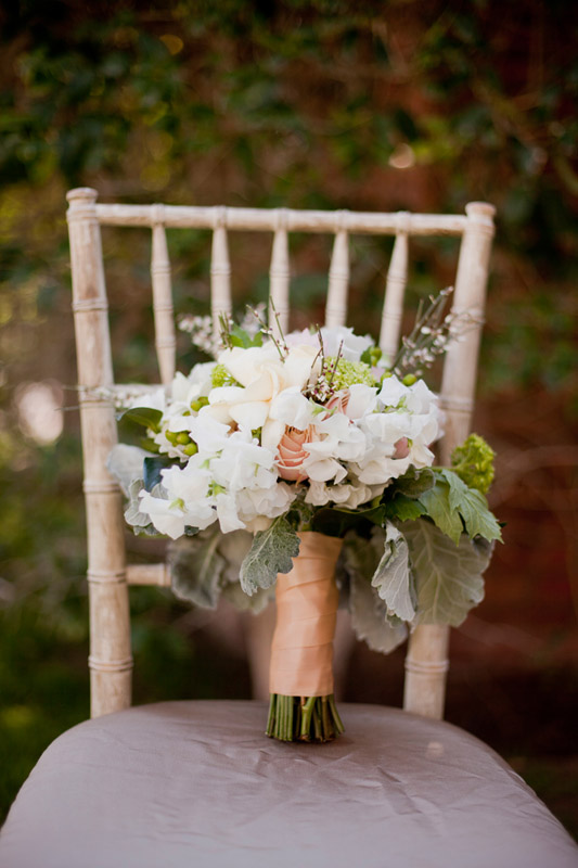 Elyse Hall Photography
