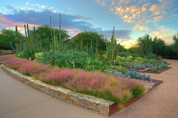 هل يمكنك زرع حديقة في ولاية أريزونا