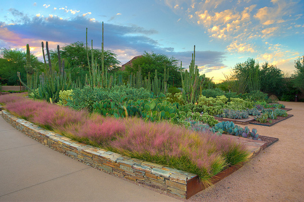 dessert-gardens