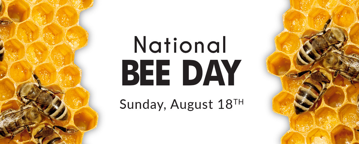 beeday