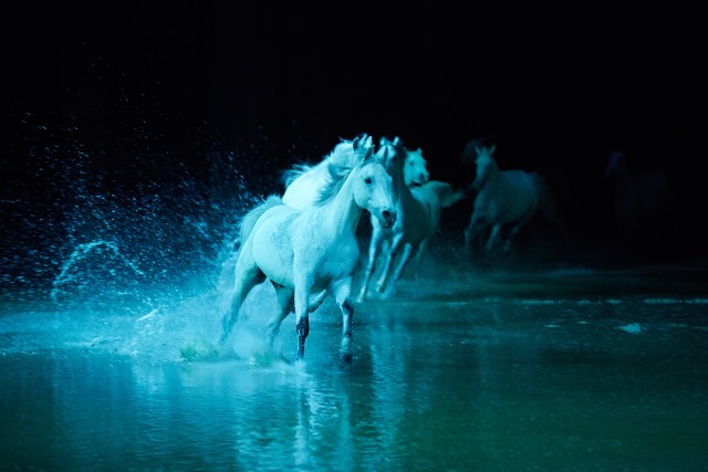 cavalia2.jpg