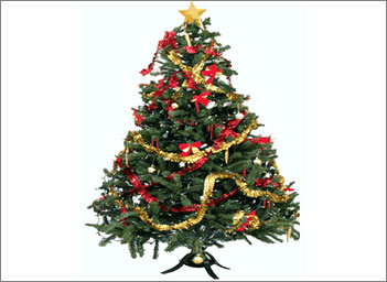 christmas-tree341x256
