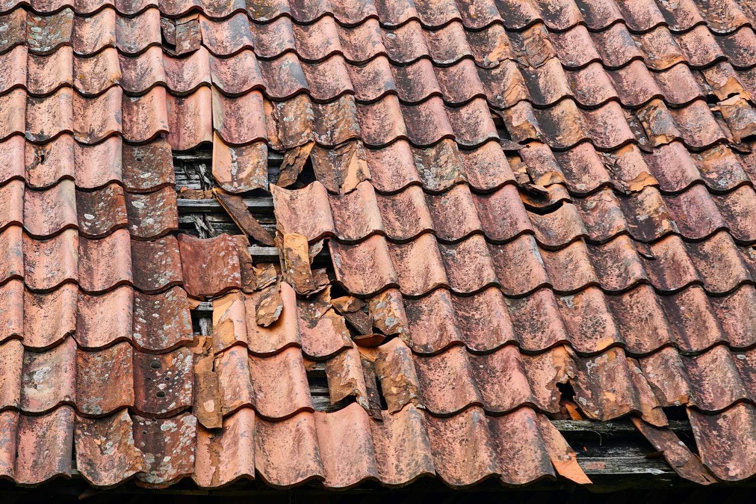 damaged_roof.jpg