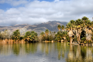AguaCaliente