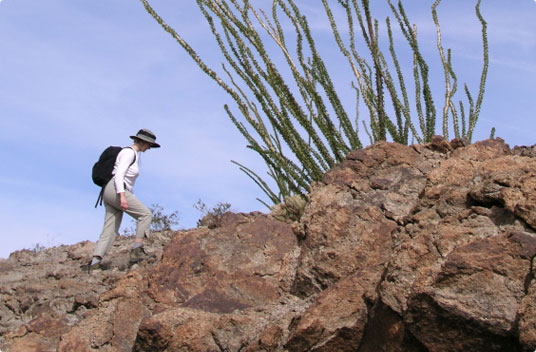 DoveMountain 000000980350maintall