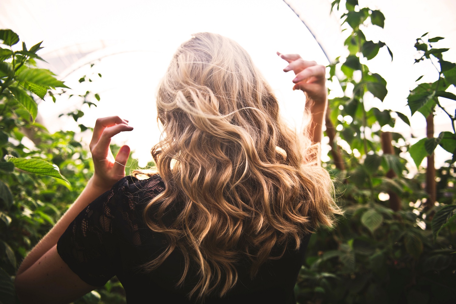 diy-hair-care.jpg