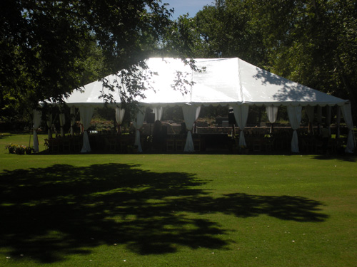 canopy-of-love-2