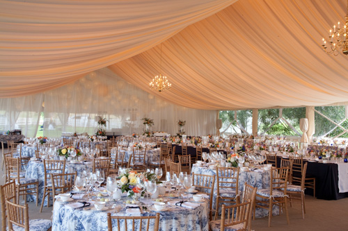 canopy-of-love