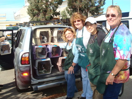 rsz wa-state-dogs-leaving-oas1