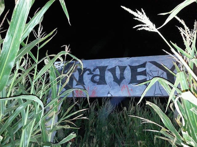 fieldofscreams2_copy.jpg