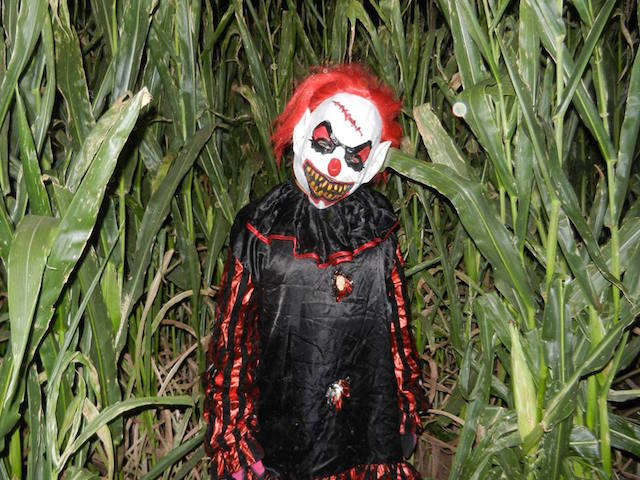 fieldofscreams_copy.jpg