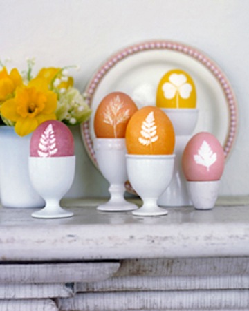 gt botegg01 l