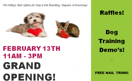 scottsdale-grandopening-villa-la-paws-az-foothills