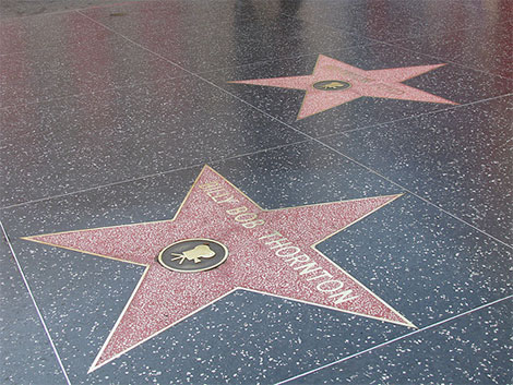 hollywood boulevard