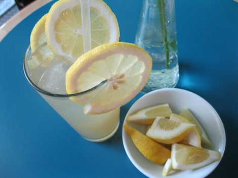 Echinacea Lemonade 1535