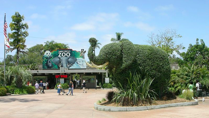 SDZoo