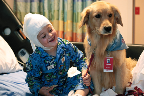 afm0611-az-giving-Happy-Kid-and-Dog