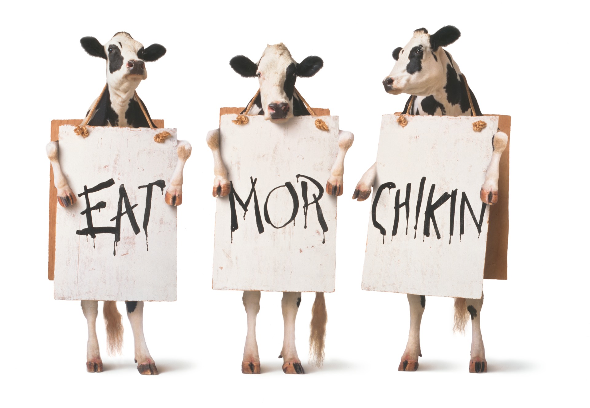 eat-mor-chikin.jpg